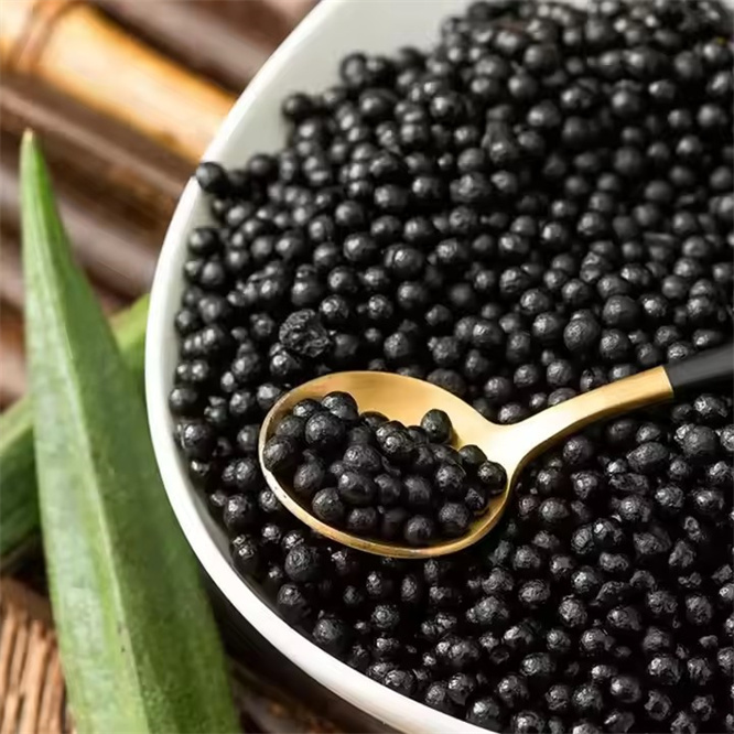 Low Priced 16-6-28 NPK Organic Granular Fertilizer Controlled Release Compound for Agriculture